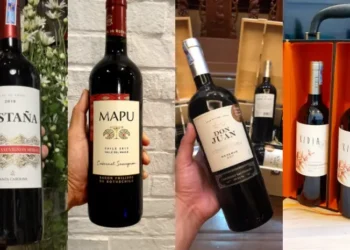 Mức giá của vang Chile rất hợp lý so với chất lượng