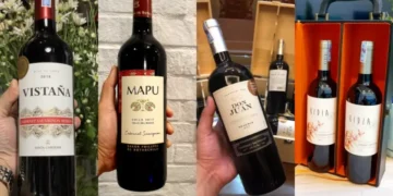 Mức giá của vang Chile rất hợp lý so với chất lượng