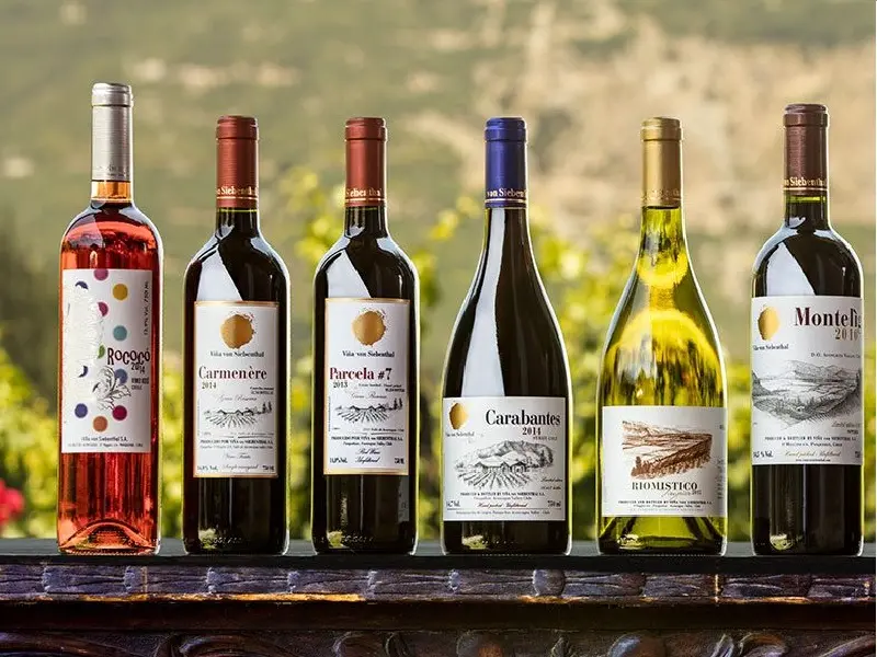 Mua rượu vang Chile chính hãng tại ruouak.com – Rượu AK